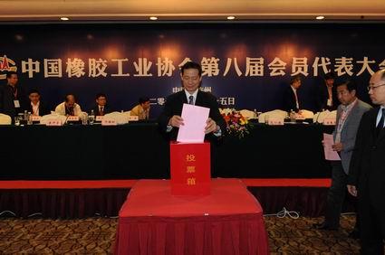 中國(guó)橡膠工業(yè)協(xié)會(huì),第八屆會(huì)員代表大會(huì)